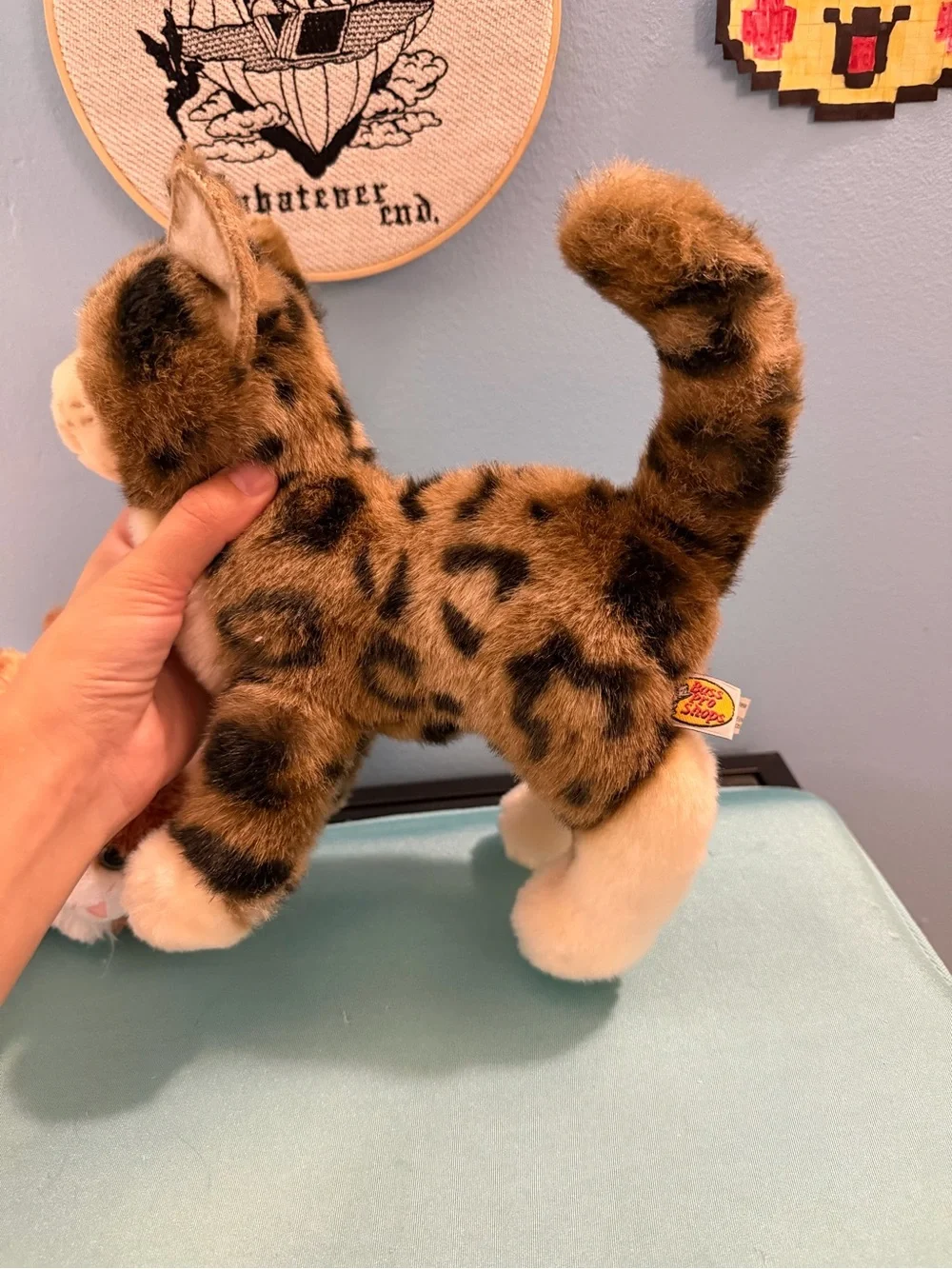 Cat plush bundle 2 aurora 1 bass pro